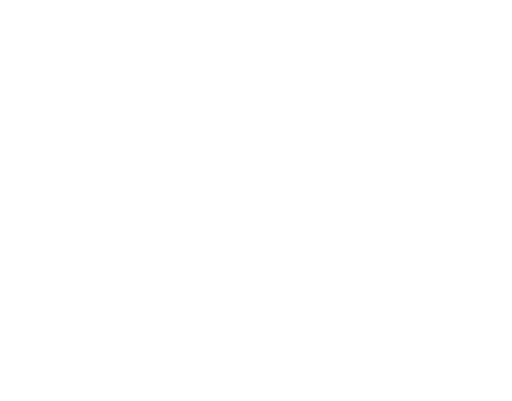 logo3